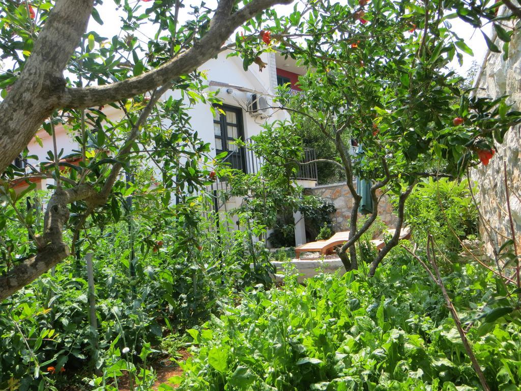 Holiday Home Artina 2 Lovište Εξωτερικό φωτογραφία